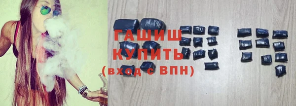 гидра Богданович