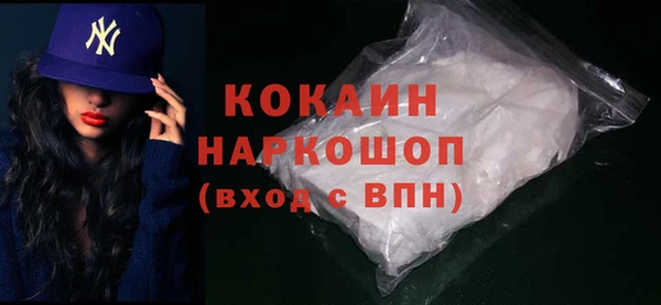 гидра Богданович