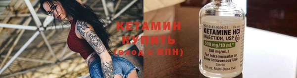 гидра Богданович