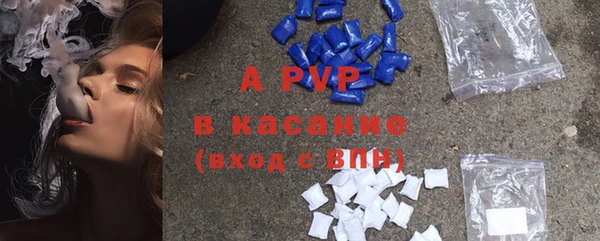гидра Богданович