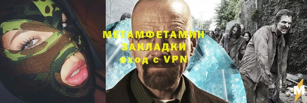 гидра Богданович