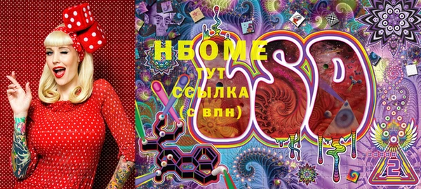 СК Сосновоборск