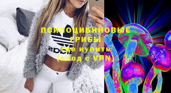 гидра Богданович
