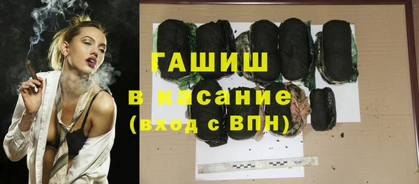 гидра Богданович