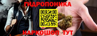 PSILOCYBIN Шебекино