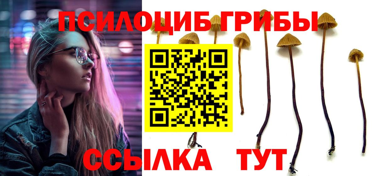 Верхний Уфалей  Галлюциногенные грибы мицелий  Вход с VPN 